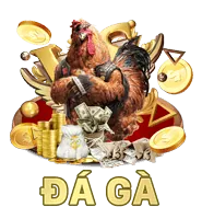 Quyền chuyển đổi dữ liệu